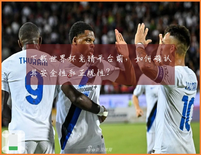 下载世界杯竞猜平台前，如何确认其安全性和正规性？
