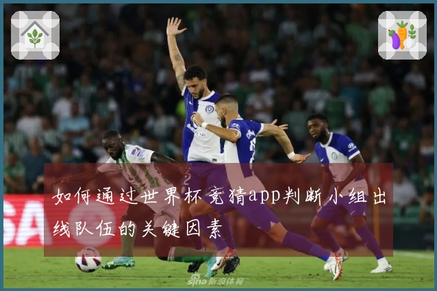 C7娱乐体育资讯配图