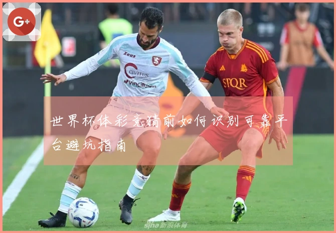C7娱乐体育资讯配图