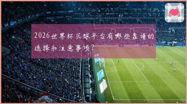 2026世界杯买球平台有哪些靠谱的选择和注意事项？