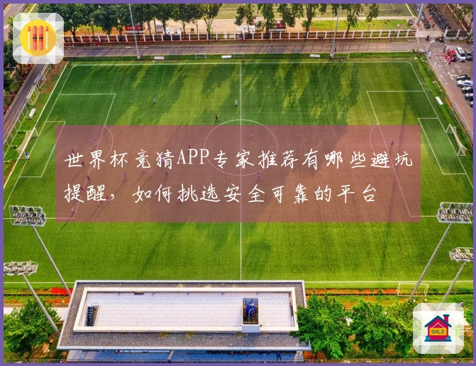 世界杯竞猜APP专家推荐有哪些避坑提醒，如何挑选安全可靠的平台