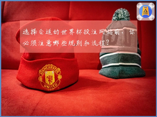 选择合适的世界杯投注网站前，你必须注意哪些规则和流程？